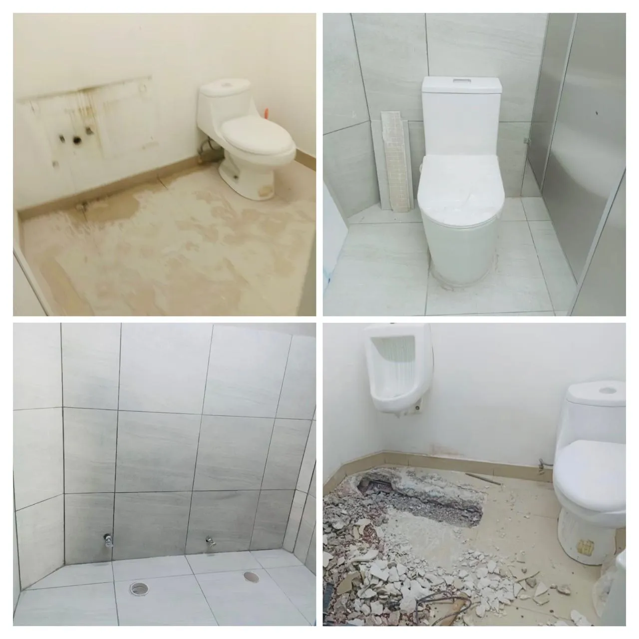 DAYER Obra